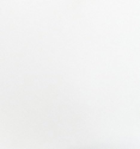 National Allergy Superior 100% Cotton Twin Mattress Protector Zippered - 39" x 75" x 12" - Hypoallergenic Bed Encasement - Breathable Dust Proof Cover - AAFA & Oeko-TEX Standard 100 Certified