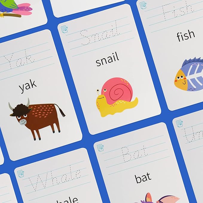 28 Pcs Letters Words Number Math Counting Recognition Cards for Kindergarten Preschool Toddlers Educational Toys RZKP-01 (Word)