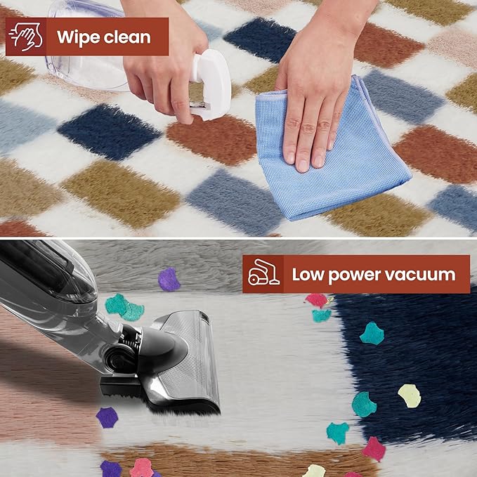 Super Soft Rug for Bedroom, 5x7 Ft Rainbow Area Rug Classic Checkered Shaggy Rug Anti-Skid High Pile Soft Fluffy Fuzzy Carpet for Living Room Bedroom Kids Room Nursery, Dorm Home Decor