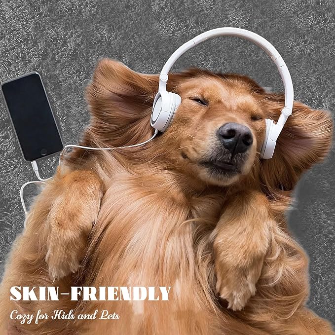 8x10 Area Rug for Living Room: Fluffy Shag Soft Washable Rugs Large Fuzzy Plush Indoor Carpet for Bedroom Nursery Playroom Kids Girls Boys Room (Dark Grey, 8'x10')