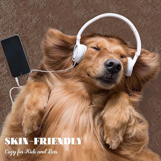 6x9 Area Rug for Living Room: Fluffy Shag Soft Washable Rugs Large Fuzzy Plush Indoor Carpet for Bedroom Nursery Playroom Kids Girls Boys Room (Coffee, 6'x9')