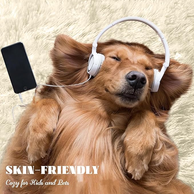 6x9 Area Rug for Living Room: Fluffy Shag Soft Washable Rugs Large Fuzzy Plush Indoor Carpet for Bedroom Nursery Playroom Kids Girls Boys Room (Cream White, 6'x9')