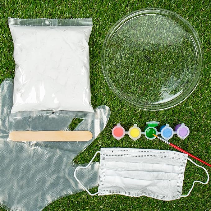 Creative Roots Create Your Own Handprint Stone by Horizon Group USA