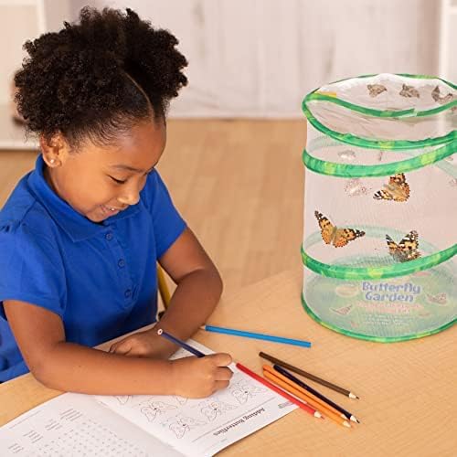 Insect Lore Butterfly Garden with Giant Birthday Card - 5 Live Baby Caterpillars, STEM Activity Journal, Habitat, Chrys-A-Lid Holder, Feeder - Raise and Release Painted Lady Butterflies