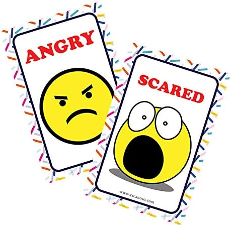 Creanoso US Schools and Learning Flash Cards Series (2-Deck)