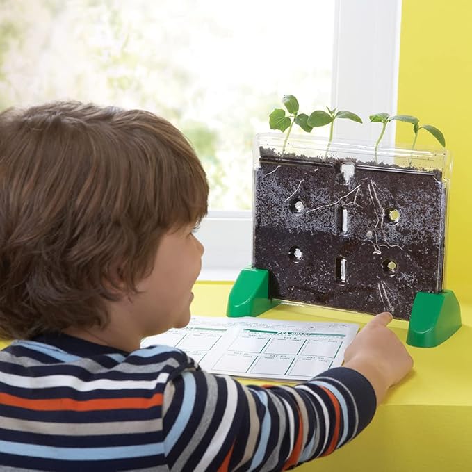 Educational Insights Sprout & Grow Window - See-Through Sprouts Growing Kit, Kids Gardening Set, Starter Science Kits for Kids, Root Viewer, Interactive Homeschool or Classroom Planter, Ages 5+