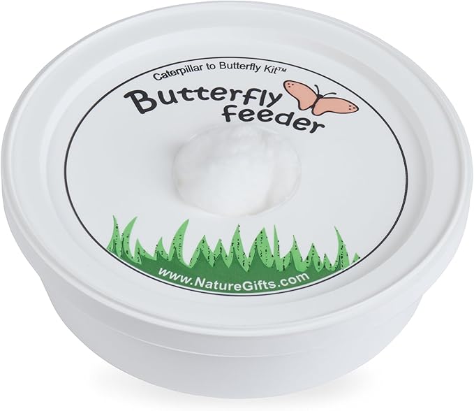 32 Live Caterpillars Shipped Now: Butterfly Kit Refill for School Sized Kit with Extra Larva Rearing Supplies and 32 Little Cups by Nature Gift Store
