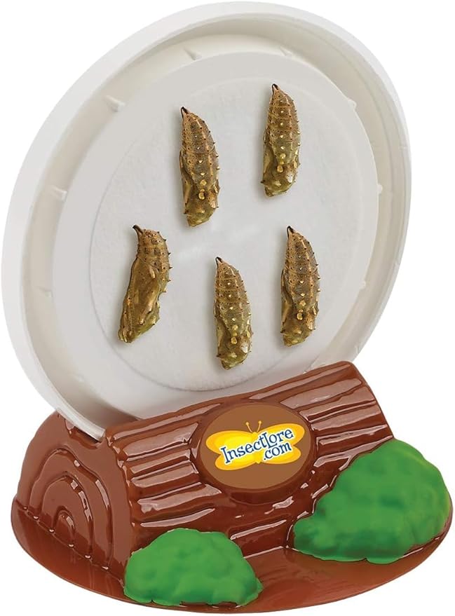 Insect Lore Butterfly Garden with 5 Live Baby Caterpillars - STEM Activity Journal, Habitat, Chrys-A-Lid Holder and Feeder Included | Raise and Release Painted Lady Butterflies