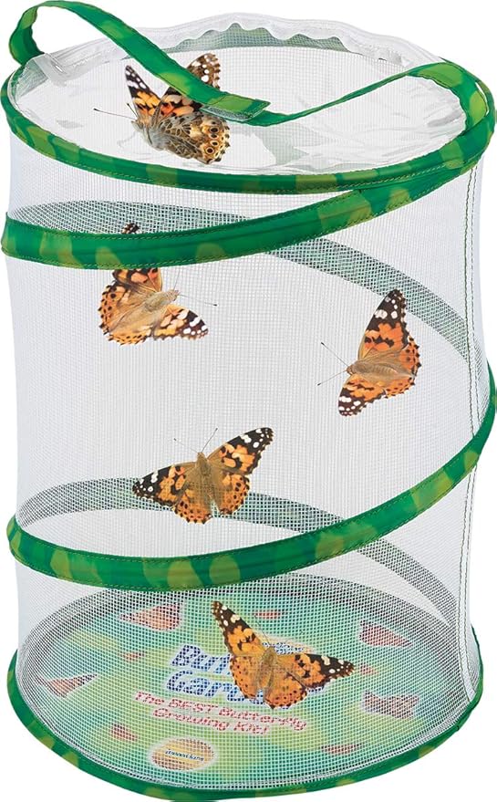 Insect Lore Butterfly Garden with Two Cups of Live Caterpillars, Life Cycle Figurines, English and Spanish Butterfly STEM Activity Journals | 10 Painted Lady Butterfly Baby Caterpillars