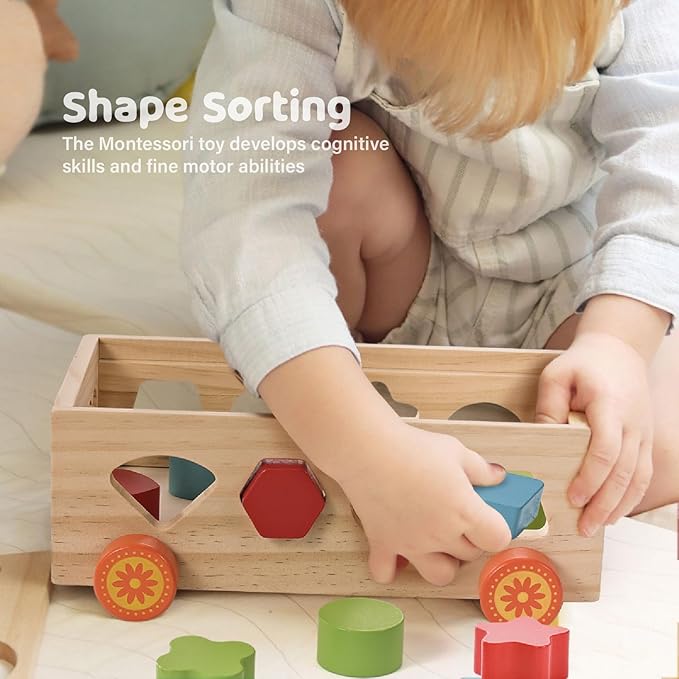 Shape Sorter - Montessori Wooden Learning Shapes Toy with 17 Shape Blocks - Early Education and Sensory Development Storage Pull Car for Toddlers, SSC03