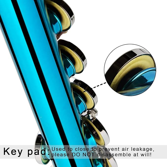 EastRock Closed Hole Flutes C 16 Key for Beginner, Kids, Student -Nickel Flute with Case Stand and Cleaning kit (Sea Blue)