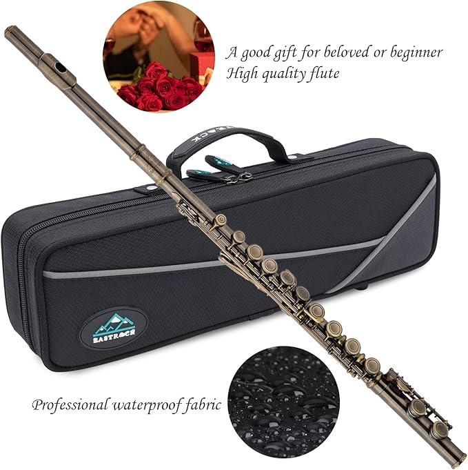 EASTROCK Closed Hole Flutes C 16 Key for Beginner, Kids, Student -Antique Flute with Case Stand and Cleaning kit