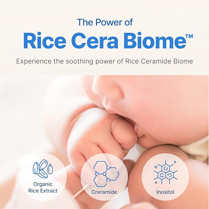 BEBESUP- 베베숲 Head to Toe Wash Baby Shampoo | Korean Skincare for Sensitive & Atopic Skin Organic Rice Cera Biome Hypoallergenic Coconut-Derived Cleanser Head to Toe Use 10.14 fl oz