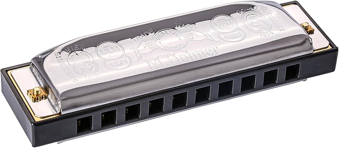 Hohner Special 20 Harmonica - Keys of G, A, C, D, E Bundle with Case, Zip Pouch, Key Stickers, Manual and Austin Bazaar Polishing Cloth