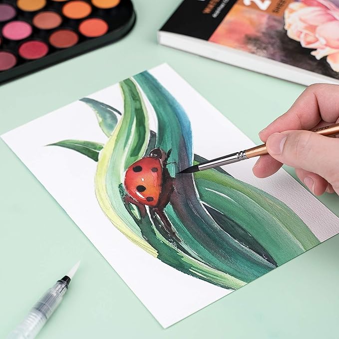 Nicpro Watercolor Paint Set, 48 Water Colors Kit with 3 Painting Brushes, Palette, Watercolor Pen, Non-toxic Painting Supplies for Kids, Adults, Students, Beginners and Artists