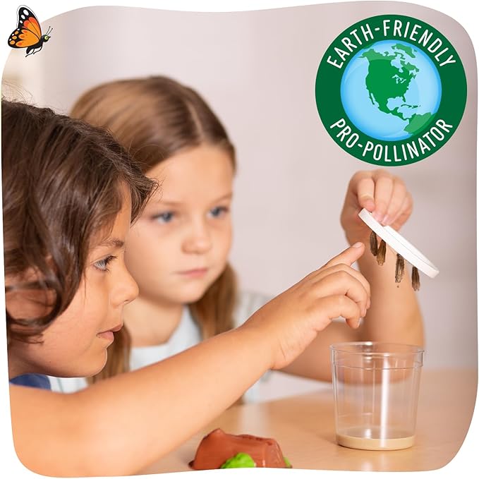 Insect Lore Butterfly Garden - 8" Habitat with 5 Live Baby Caterpillars - Includes Life Cycle Figurines, Stickers, Wind up, Mini Habitat | Birthday or Teacher Gift Set