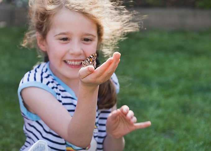 Insect Lore Two Cups of Live Caterpillars - 10 Live Painted Lady Caterpillars with Food - Includes Bonus Butterfly Life Cycle Figurines - Refill for Butterfly Garden Habitat