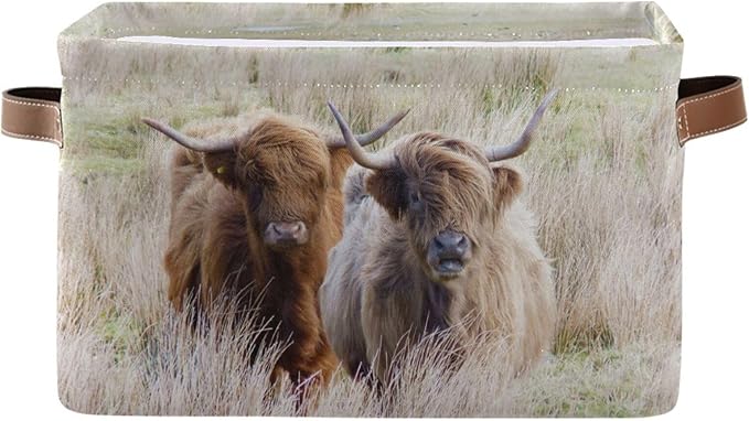 Highland Cows Storage Basket Cube Storage Bins Organizer Bag Collapsible Closet Shelf Baskets with handle for Baby Cloth Pet Toy Book 14.2×10.2×8.3 IN