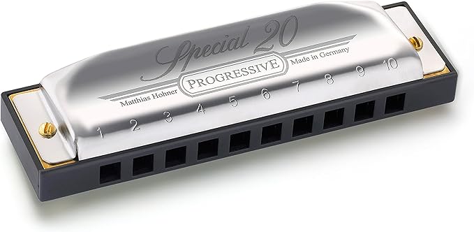 Hohner Special 20 Harmonica - Key of E Bundle with Case, Pouch, Online Manual, and Austin Bazaar Polishing Cloth