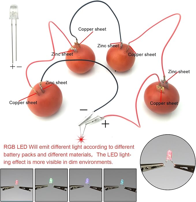 EUDAX Fruit Battery Science Experiment Kit for DIY School Home Teaching Equipment, Orange Lemon Potato Electronic Clock Science Project Kit Physics Educational for Students Teachers (8 Set)