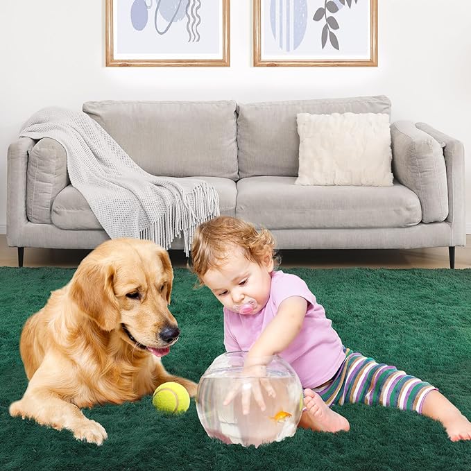 Ultra Soft Fluffy 6x9 Green Area Rugs - Plush Non-Slip Indoor Carpet for Living Room, Bedroom, Nursery, Study, Kids Room Decor