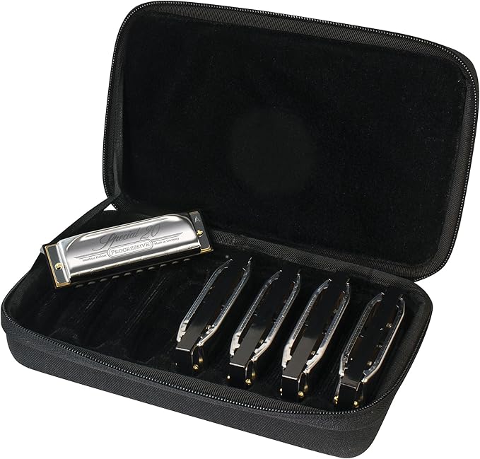 Hohner Special 20 Harmonica - Keys of G, A, C, D, E Bundle with Case, Zip Pouch, Key Stickers, Manual and Austin Bazaar Polishing Cloth
