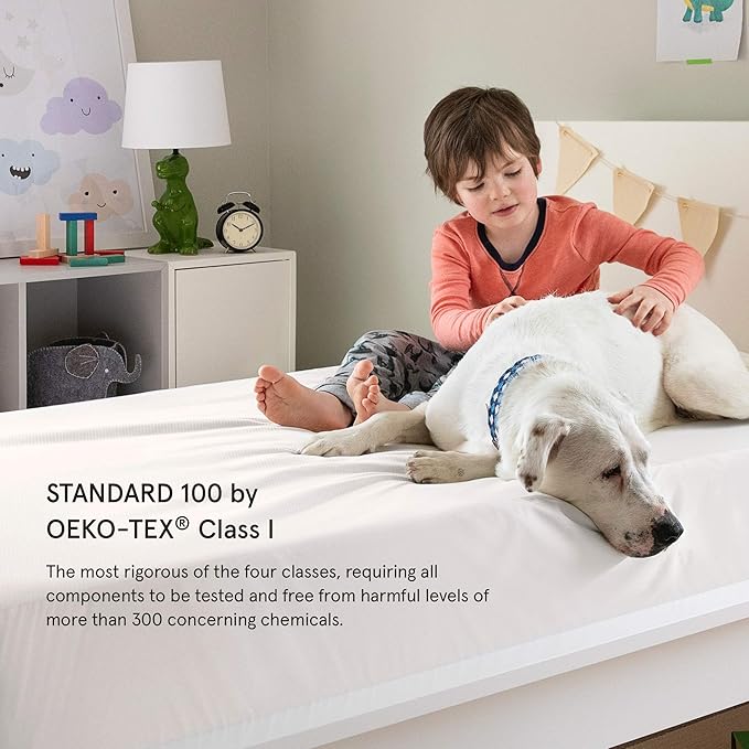 Tuft & Needle Queen Mattress Protector - Waterproof, Liquid-Proof, Sleeps Quiet, Fitted Sheet Style, Soft and Comfortable, White