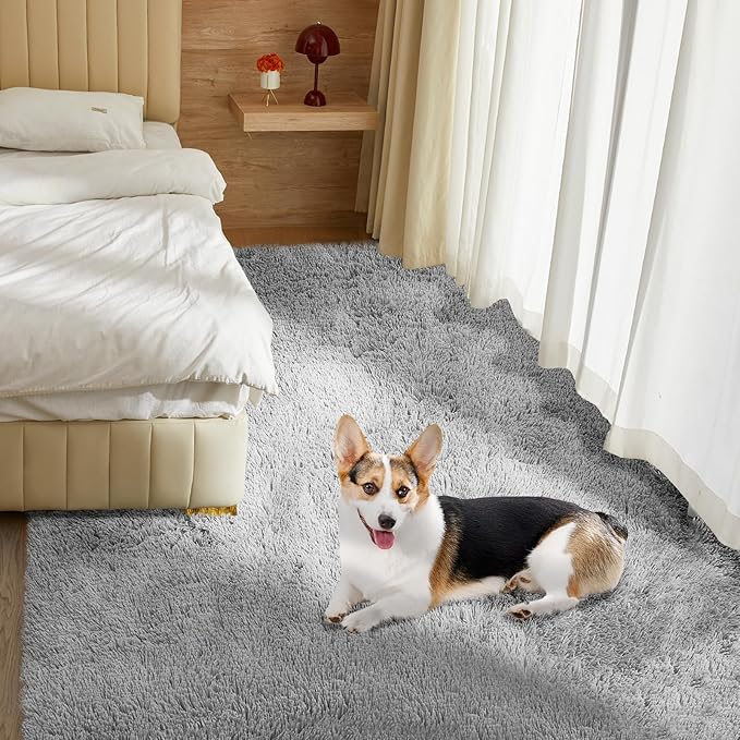 Ultra Soft Rug for Living Room, 4X6 Fluffy Shag Area Rug for Bedroom, Modern Shaggy Carpets Fuzzy Rug for Teens Dorm Nursery Home Decor Aesthetic, Upgrade Anti-Skid Durable, Light Grey