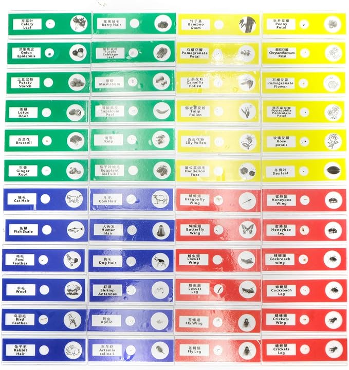 48pcs Prepared Plastic Microscope Slides Biological Specimen with 4 Boxes for Children Student Enlighten Education