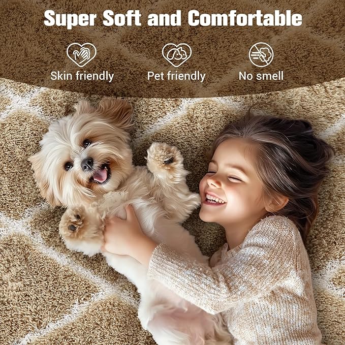 Fluffy Rug for Bedroom, Stripe Checkered Rug Anti-Skid High Pile for Living Room Bedroom Kids Room Nursery, Dorm Home Decor