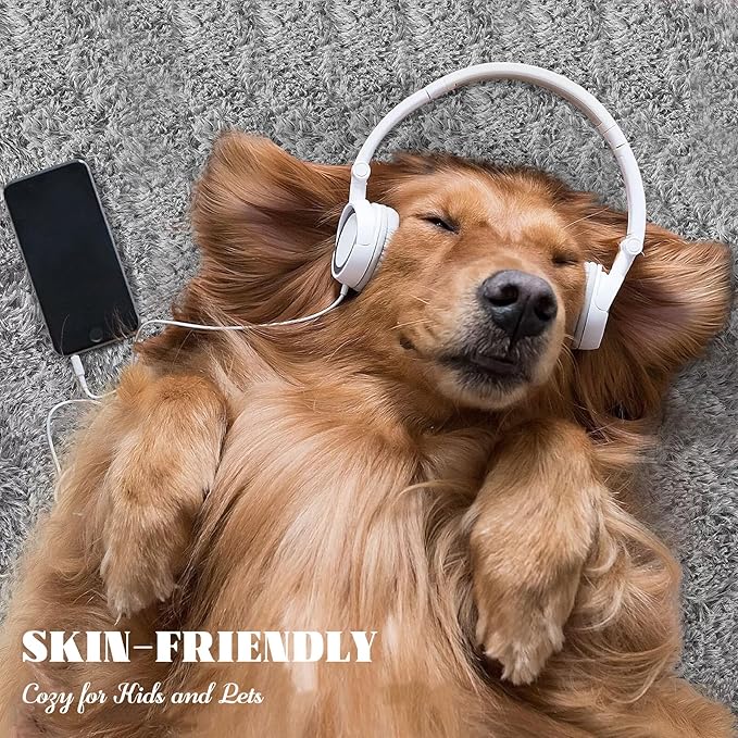 5x7 Area Rug for Living Room: Fluffy Shag Soft Washable Rugs Fuzzy Plush Indoor Carpet for Bedroom Nursery Playroom Dorm Kids Girls Boys Room (Grey, 5'x7')