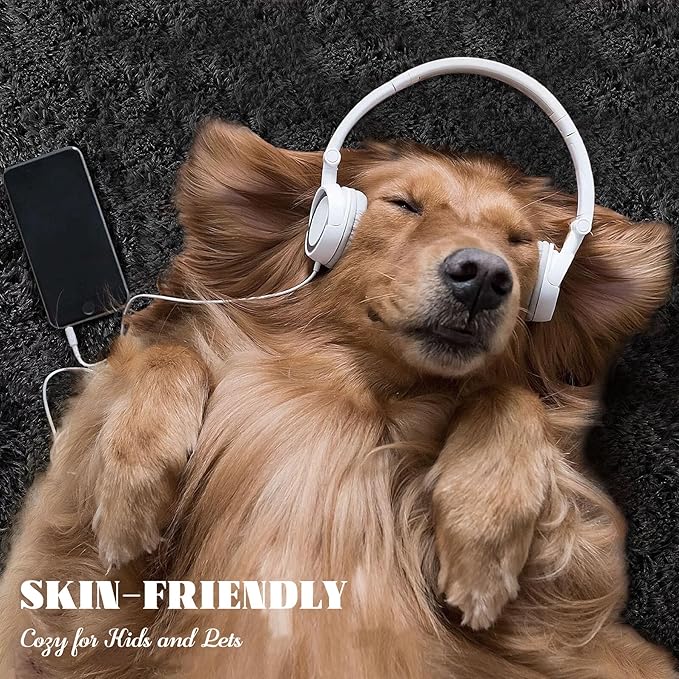 5x8 Area Rug for Living Room: Fluffy Shag Soft Washable Rugs Fuzzy Plush Indoor Carpet for Bedroom Nursery Playroom Dorm Kids Girls Boys Room (Black, 5'x8')