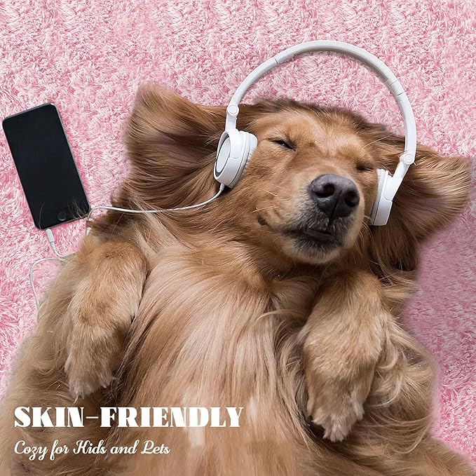 5x7 Area Rug for Living Room: Fluffy Shag Soft Washable Rugs Fuzzy Plush Indoor Carpet for Bedroom Nursery Playroom Dorm Kids Girls Boys Room (Pink, 5'x7')